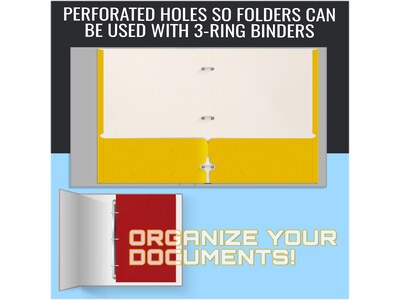 Better Office 3-Hole Punched 2-Pocket Portfolio Folders, Assorted Colors, 100/Pack (80100-100PK)