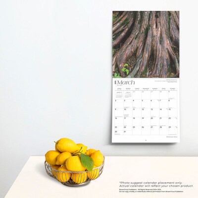 2025 BrownTrout Illinois Wild & Scenic 12" x 12" Monthly Wall Calendar (9781975474935)