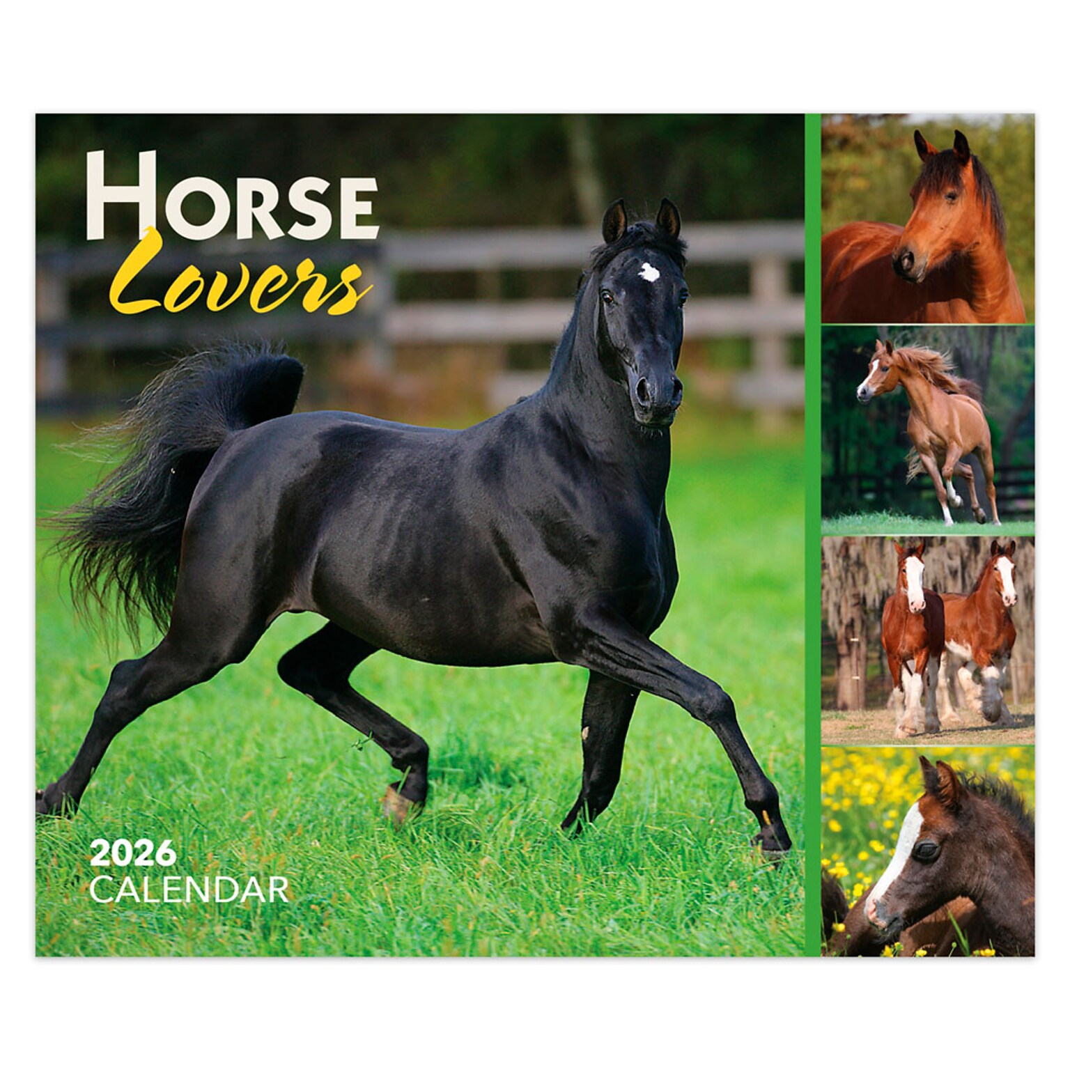2026 BrownTrout Horse Lovers 6.06 x 5.13 Day-to-Day Calendar (9798330703678)