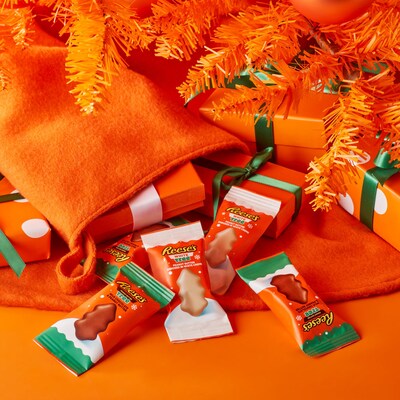 REESE'S Assorted Flavored Peanut Butter Trees Christmas Candy Bag, 18.6 oz (HEC48175)