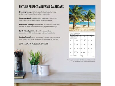 2025 Willow Creek What Cats Teach Us 7" x 7" Monthly Wall Calendar (46012)
