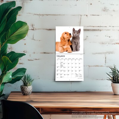 2027 BrownTrout Kittens & Puppies 7" x 7" Monthly Wall Calendar (9798330709724)