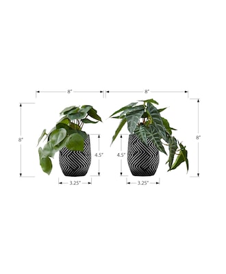 Monarch Specialties Inc. 8" Artificial Alocasia Plant in Pot, 2/Set (I 9559)