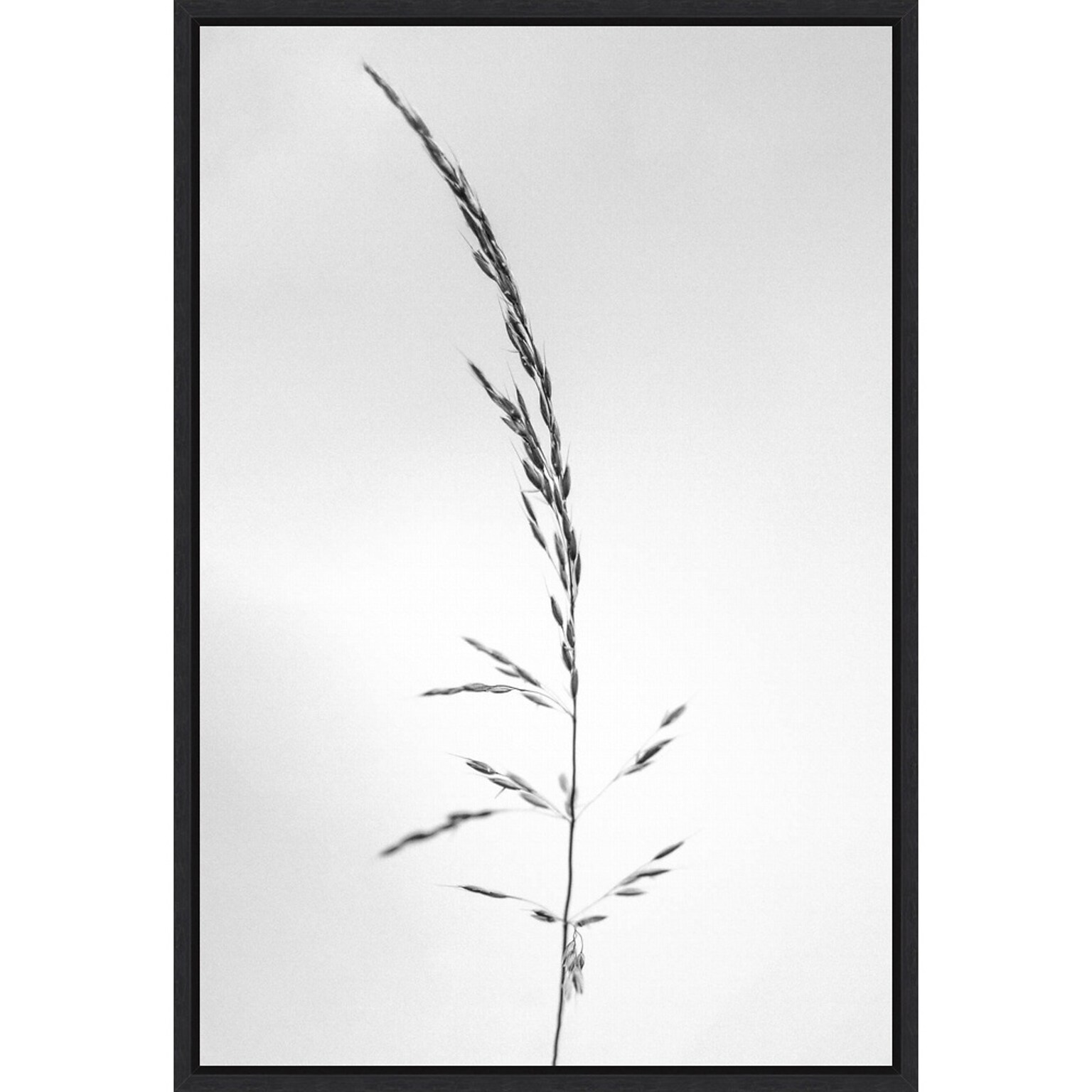 Amanti Art Amid the Flowers 45 by Teis Albers Framed Canvas Wall Art Print, 23 x 33 (A42677457048)