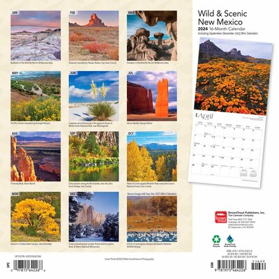 2024 BrownTrout New Mexico Wild & Scenic 12 x 24 Monthly Wall Calendar (9781975464226)