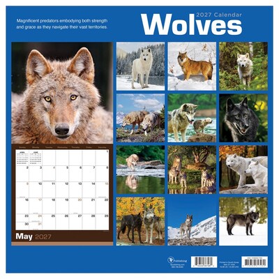 2027 TF Publishing Wolves 12" x 12" Monthly Wall Calendar, Multicolored (27-1035)