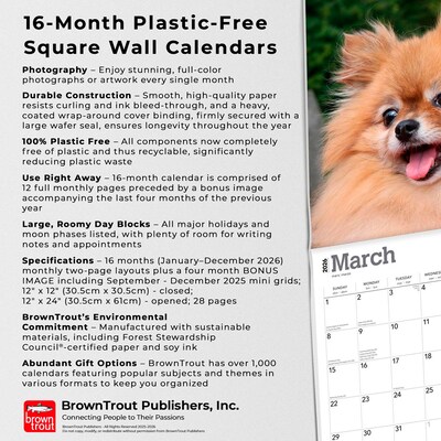 2026 BrownTrout Pomeranians 12" x 12" Monthly Wall Calendar (9798330705153)