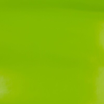 JAM Paper Gift Wrap, 26.3' x 2.5", Lime Green, 2/Pack (165S25263lig)