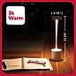 TRU RED™ LED Desk Lamp, 13.5", White Metal (TR61986)