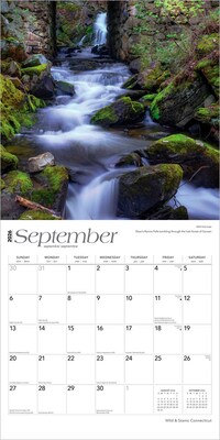 2026 BrownTrout Connecticut Wild & Scenic 12" x 12" Monthly Wall Calendar (9798330703029)