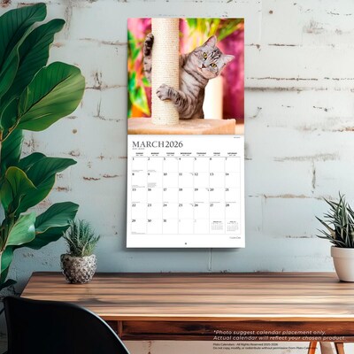 2026 Plato I Love Cats 12" x 12" Monthly Wall Calendar (9798330706808)