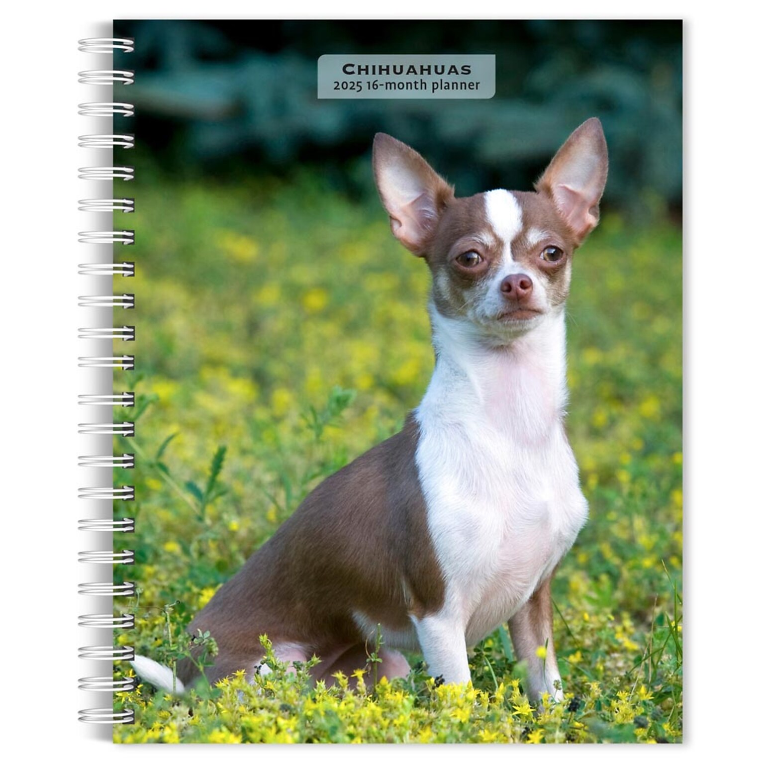 2025 BrownTrout Chihuahuas 6 x 7.75 Weekly Engagement Planner, Paper Cover, Multicolored (9781975480622)