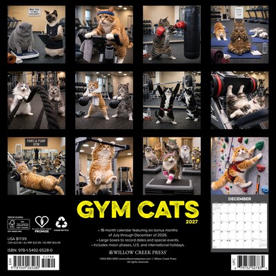 2027 Willow Creek Gym Cats  12 x 12 Monthly Wall Calendar (65280)