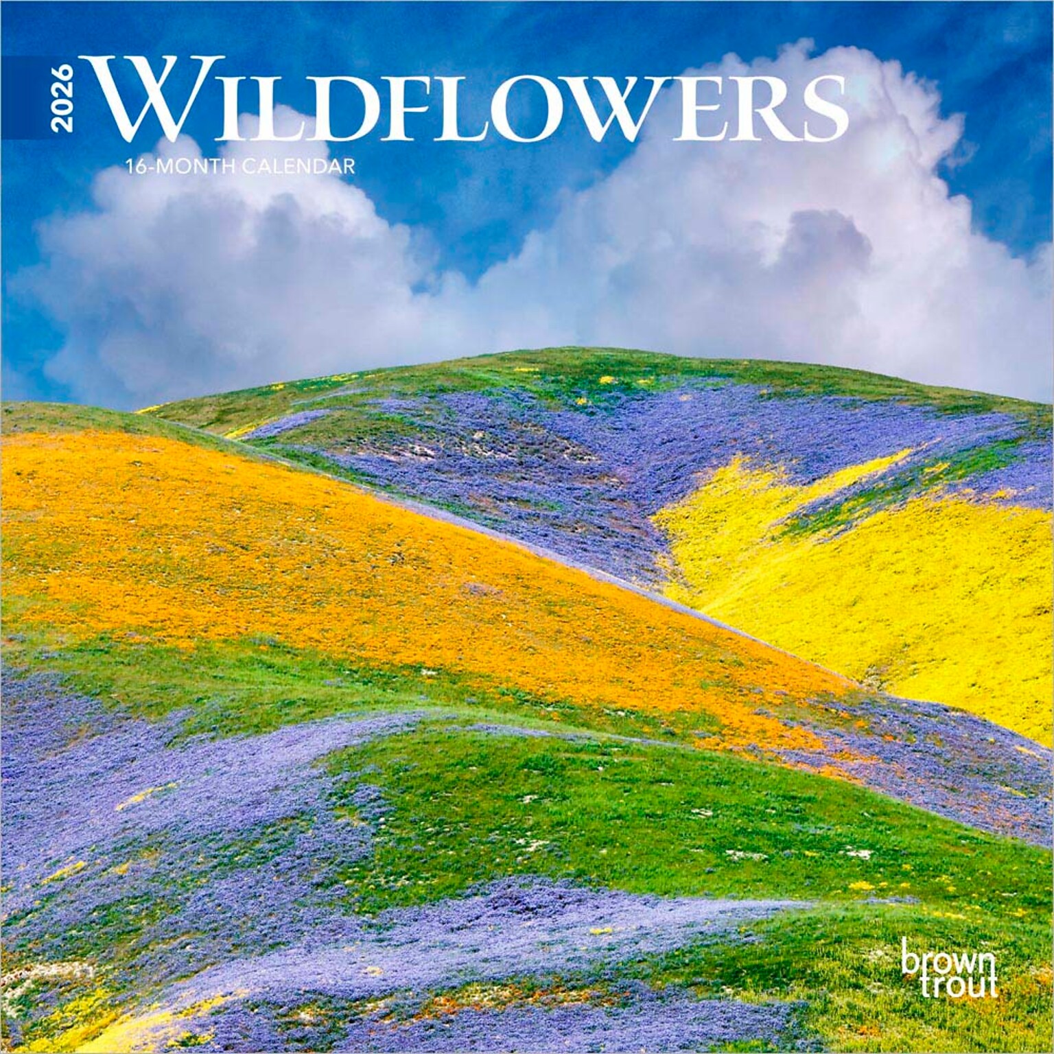 2026 BrownTrout Wildflowers 7 x 7 Monthly Wall Calendar (9798330706358)