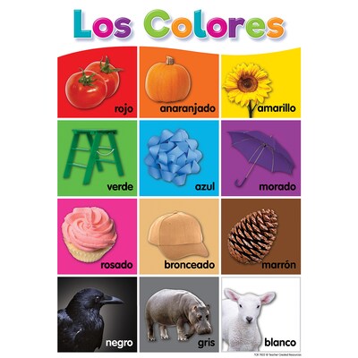 Teacher Created Resources Spanish Colorful Early Learning Small Poster Pack, 12/Set (TCR7822)