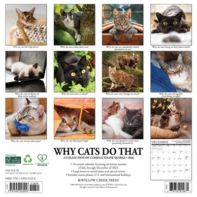 2026 Willow Creek Why Cats Do That 12 x 12 Monthly Wall Calendar (53256)