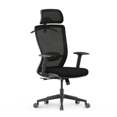 FlexiSpot Ergonomic Mesh Swivel Computer and Desk Chair, Black (C3B-FM)