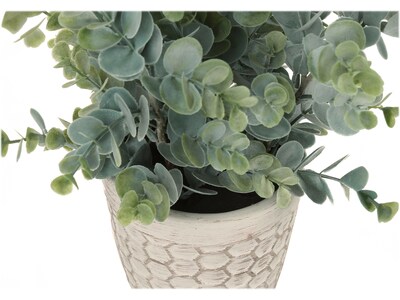 Monarch Specialties Inc. Eucalyptus Grass in Pots, 2/Pack (I 9581)