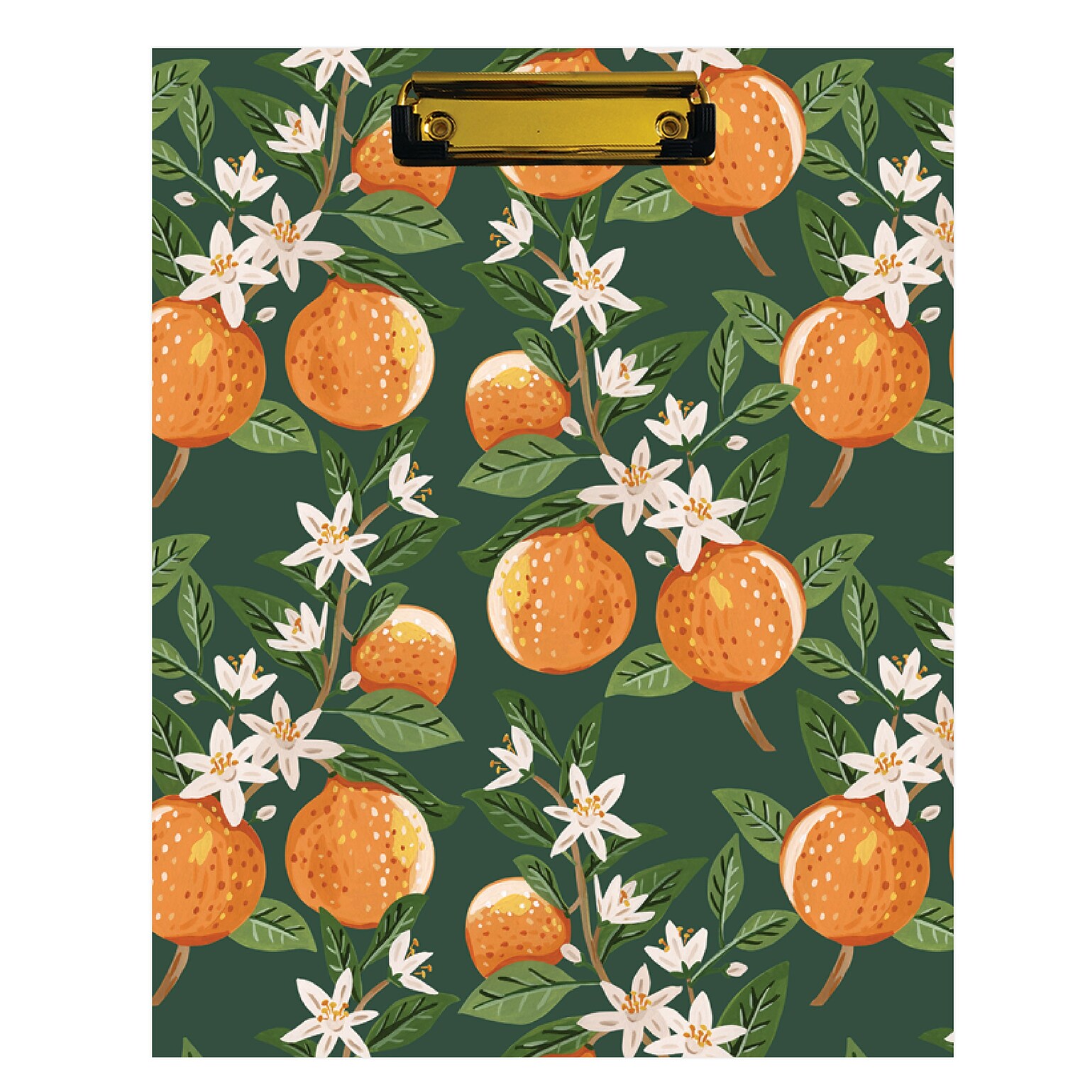 Blue Sky Bespoke Plastic Storage Clipboard, Letter Size, Oranges Green (155600)