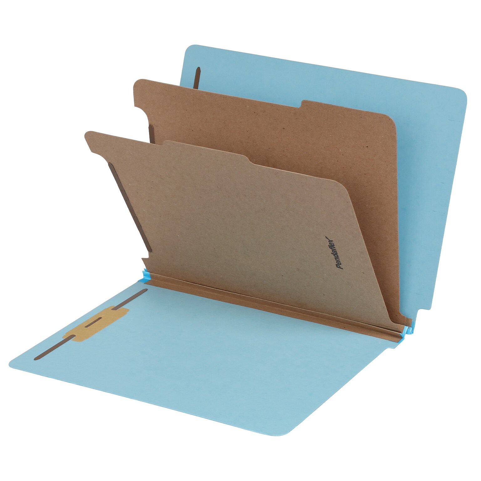 Pendaflex Pressboard Classification Folder, 2-Dividers, 2 Expansion, Letter Size, Blue, 10/Box (1007077)