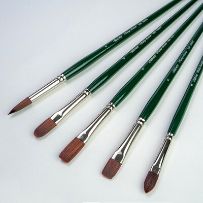 Silver Brush Ruby Satin Size 6 Variety Brush Set, 5/Pack (SLVRS2596)