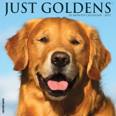 2025 Willow Creek Just Goldens 12 x 12 Monthly Wall Calendar (43134)