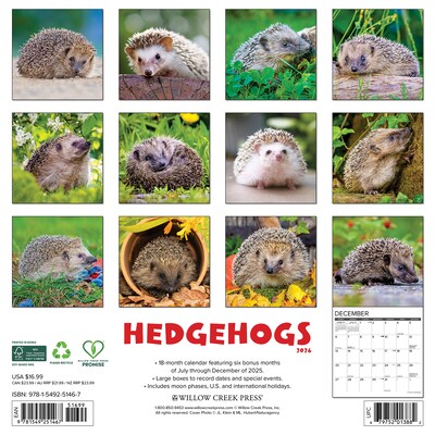 2026 Willow Creek Hedgehogs 12 x 12 Monthly Wall Calendar (51467)