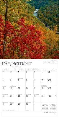 2026 BrownTrout West Virginia Wild & Scenic 12" x 12" Monthly Wall Calendar (9798330706297)