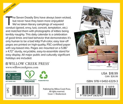 2027 Willow Creek Bad Kitties 6.2 x 5.4 Daily Day-to-Day Calendar, Assorted Colors (63293)