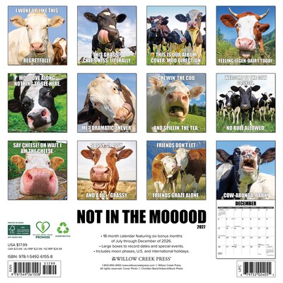 2027 Willow Creek Not in the Mooood 12 x 12 Monthly Wall Calendar (61558)