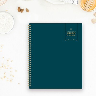 2026 Blue Sky Day Designer Peacock 8.5" x 11"  Weekly & Monthly Planner, Plastic Cover, Multicolored (143889-26)