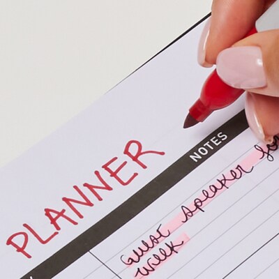 Sharpie Holiday Permanent Markers, Assorted Colors, 3/Pack (2221003)