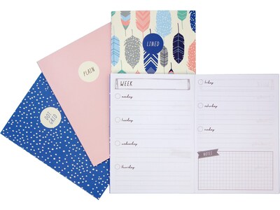 Carpe Diem Feathers 1-Subject Notebooks, 4.1 x 5.8, 16 Sheets, Ruled, Assorted Colors, 4/Pack (936
