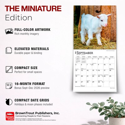 2027 BrownTrout Baby Goats 7" x 7" Monthly Wall Calendar, Assorted Colors (9798330709762)