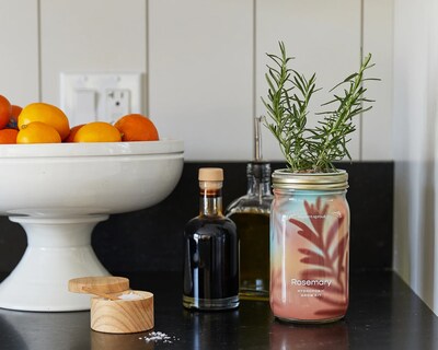 Herb Garden Jars - Organic Parsley