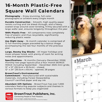 2026 BrownTrout Old English Sheepdogs 12" x 12" Monthly Wall Calendar (9798330704989)