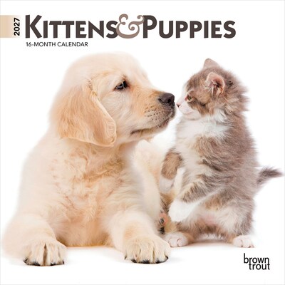 2027 BrownTrout Kittens & Puppies 7 x 7 Monthly Wall Calendar (9798330709724)