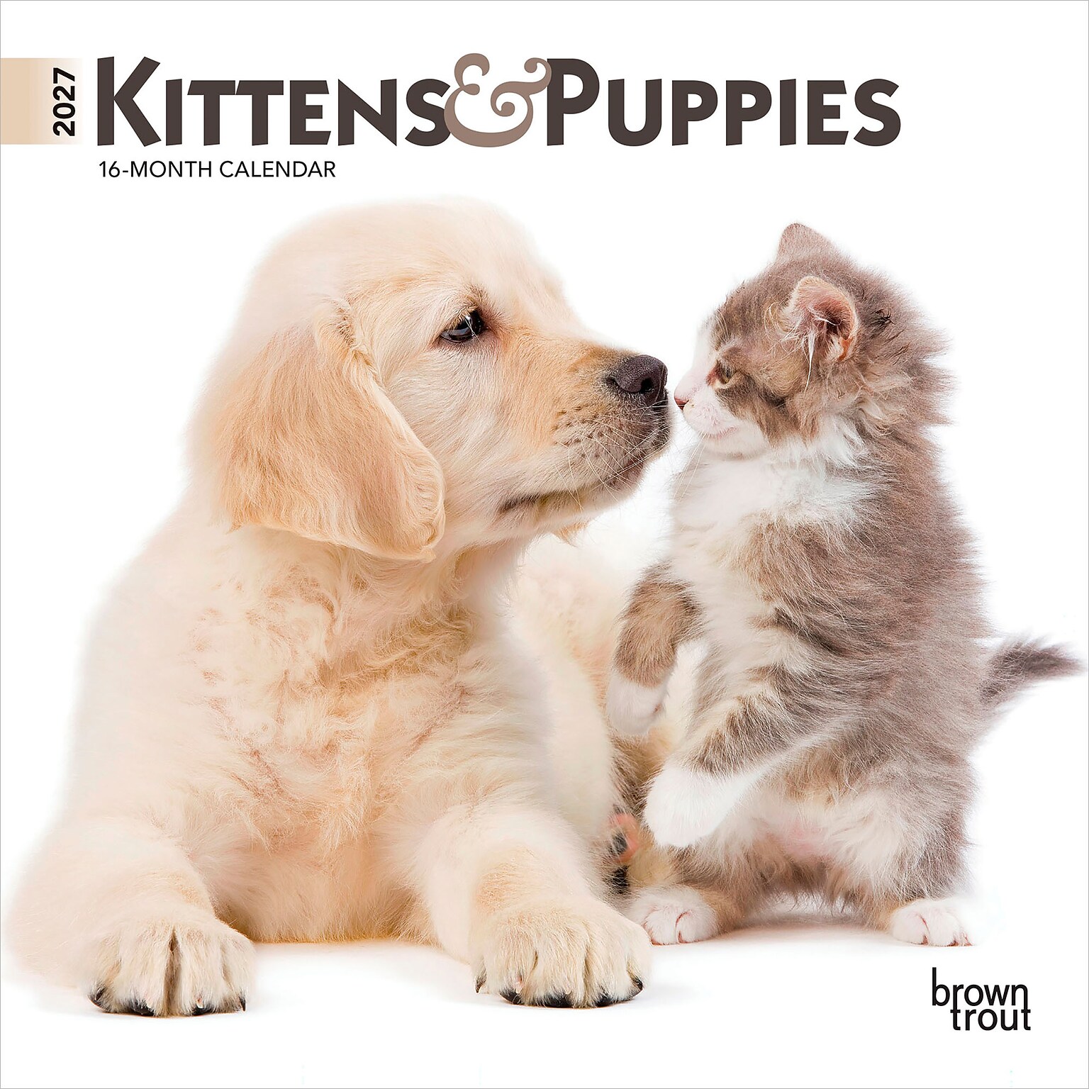 2027 BrownTrout Kittens & Puppies 7 x 7 Monthly Wall Calendar (9798330709724)
