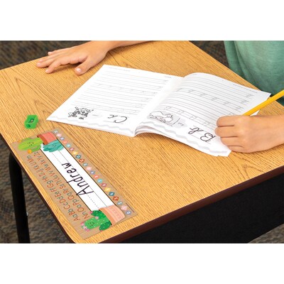 Teacher Created Resources Happy Cactus Crew School Name Plates, 11.5" x 3.5", 36/Pack, 6 Packs/Bundle (TCR6960-6)