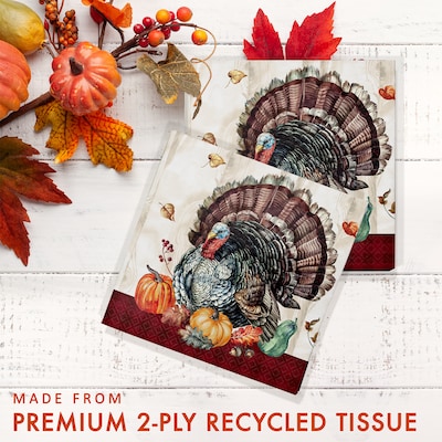 Creative Converting Timeless Turkey Thanksgiving Tableware Set, Serves 8 (DTC9026E2A)