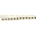 Barker Creek Gold Coins Double-Sided Scalloped Edge Border, 39 x 2.25, 13/Pack