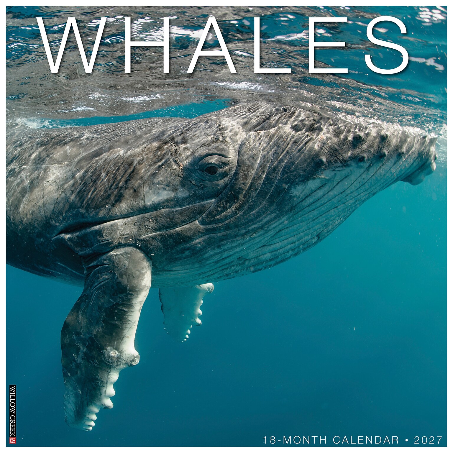 2027 Willow Creek Whales 12 x 12 Monthly Wall Calendar, Assorted Colors (62876)