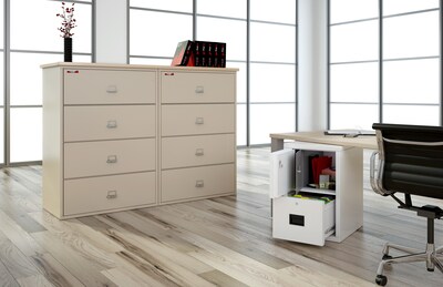 FireKing FireShield Fire Resistant, 2-Drawer Vertical File Cabinet, Letter/Legal, Lockable, 22.13"D, Diamond Stone(2S1822-DDSSF)