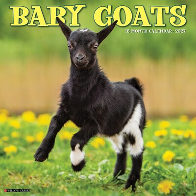 2027 Willow Creek Baby Goats 12 x 12 Monthly Wall Calendar, Assorted Colors (58961)