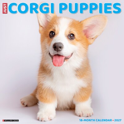 2027 Willow Creek Corgi Puppies 12 x 12 Monthly Wall Calendar, Assorted Colors (59838)