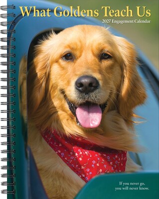2027 Willow Creek What Goldens Teach Us 6.5 x 8.5 Weekly & Monthly Desk Calendar (64467)