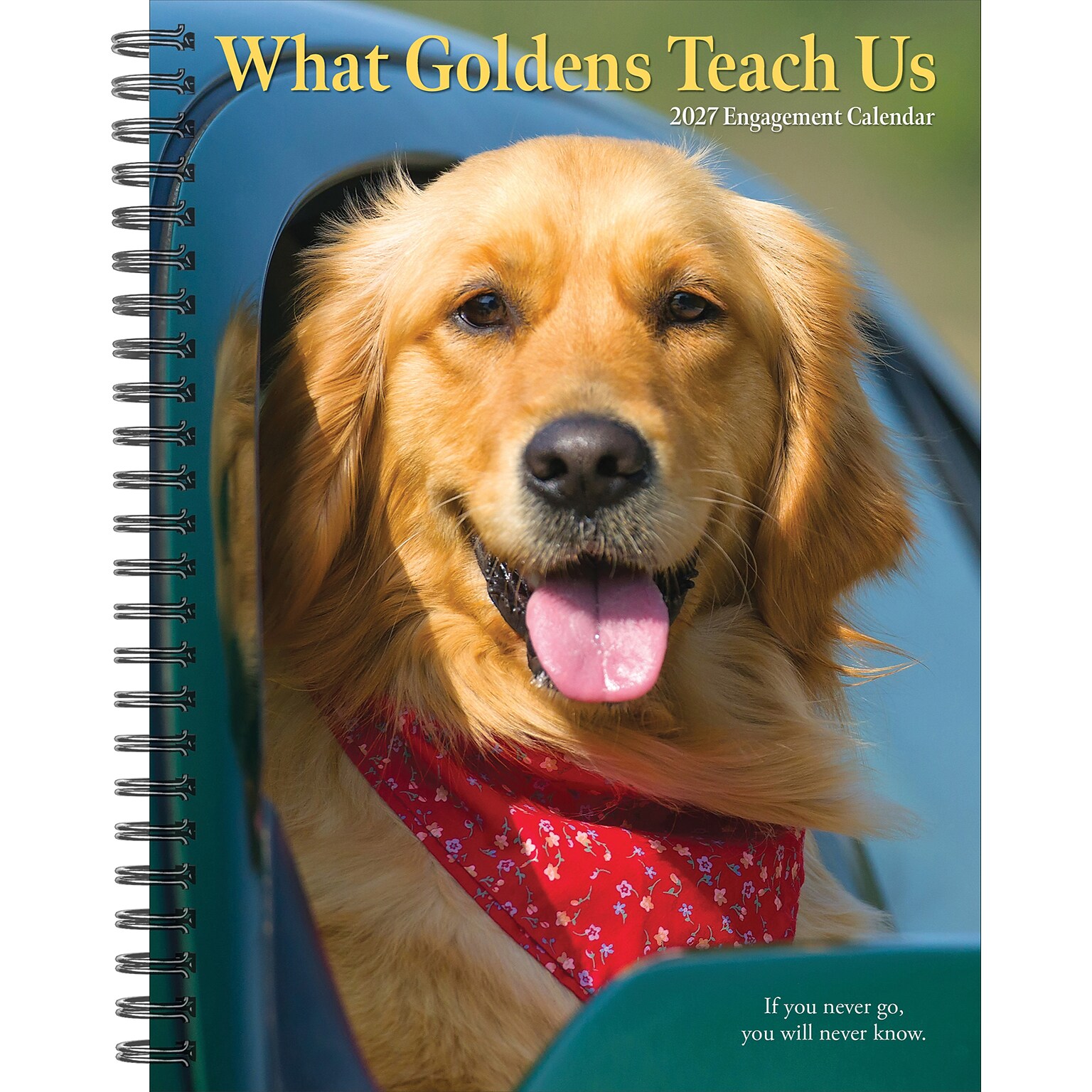 2027 Willow Creek What Goldens Teach Us 6.5 x 8.5 Weekly & Monthly Desk Calendar (64467)