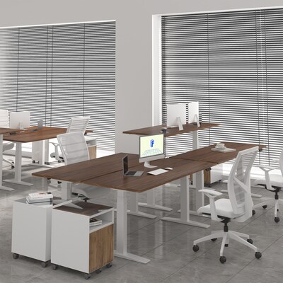 FlexiSpot E7 Commercial 72''W Electric Rectangular Adjustable Standing Desk, Black Walnut/White (E7WCOM7230-BW)