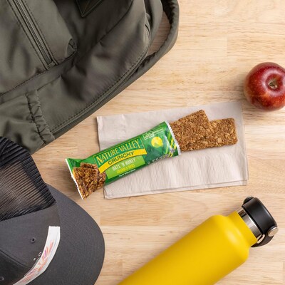 Nature Valley Oats & Honey Granola Bar, 1.49 oz, 18/Box (GEM33530)