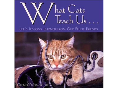 What Cats Teach Us Book, Chapter Book, Hardcover (296X)